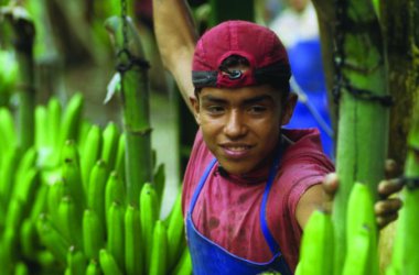 St. Vith will “fairtrade town” werden