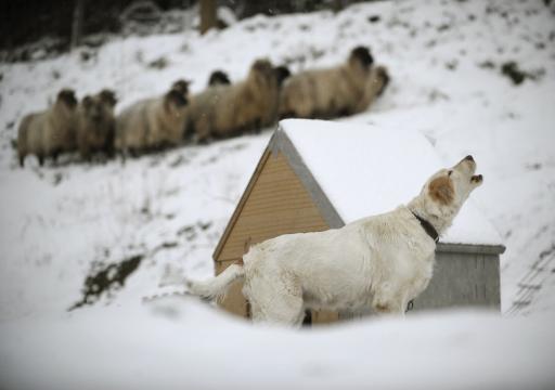 Wintereinbruch auch in Spanien