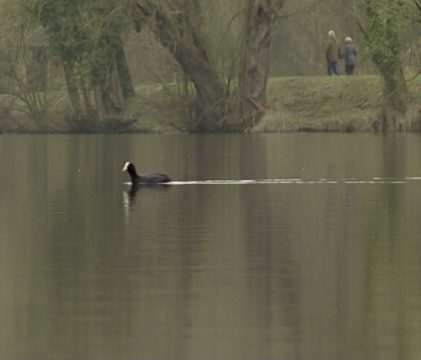 Projekt: Areal des Casinoweihers wird touristisch aufgewertet