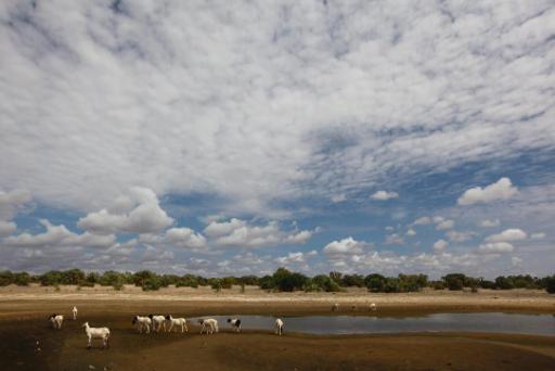 Kenia war bislang nicht für Mineralienreichtum bekannt