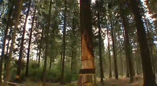 Auf zum Drachenpfad: Kunst im Wald von Mefferscheid