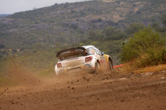 Rallye Argentinien: Thierry Neuville in der Pampa