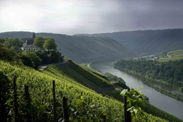 Weinkulturland Mosel