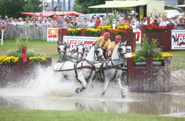 CHIO: Matthias Alexander Rath (Dressur)