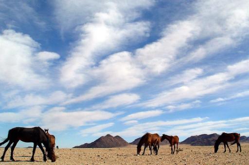 Die Wüste Namib