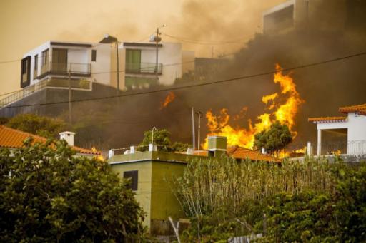 Waldbrand auf der portugiesischen Ferieninsel Madeira