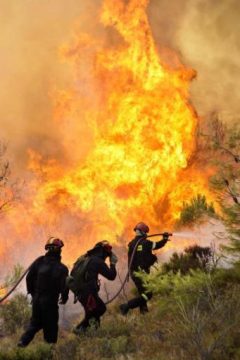 Feuerwehreleute versuchen die Waldbrände bei Athen zu löschen