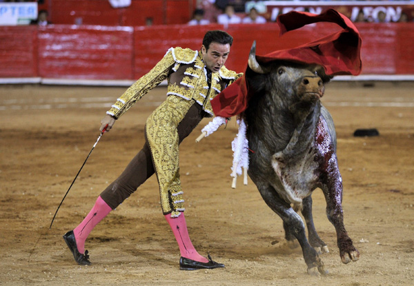 Corrida - Stierkämpfer Enrique Ponce in Mexico City (11/2011)