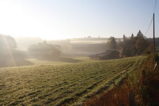 Ostbelgien im Herbst: Genusswanderung durch Heppenbach