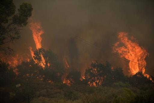 Flammeninferno in der Ortschaft Ojén in der Nähe von Málaga