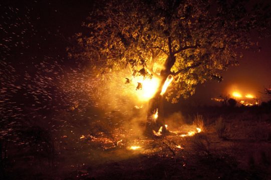 Waldbrand in Ostspanien