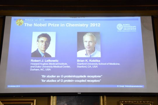Chemie-Nobelpreis für Robert Lefkowitz und Brian Kobilka