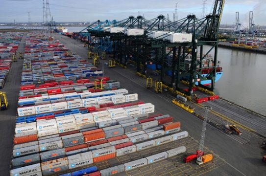 Rekordfund am Hafen von Antwerpen