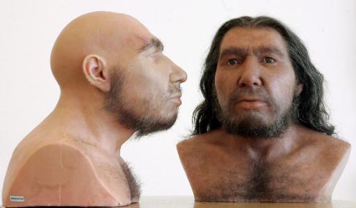 Zwei Neandertaler (Rheinisches Landesmuseum Bonn)