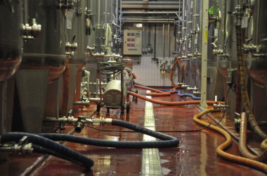 Apfelernte in vollem Gange: Besuch in der Cidrerie Stassen