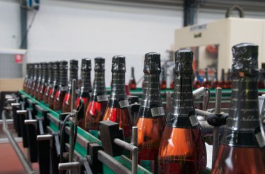 Apfelernte in vollem Gange: Besuch in der Cidrerie Stassen