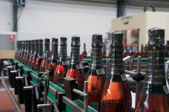 Apfelernte in vollem Gange: Besuch in der Cidrerie Stassen