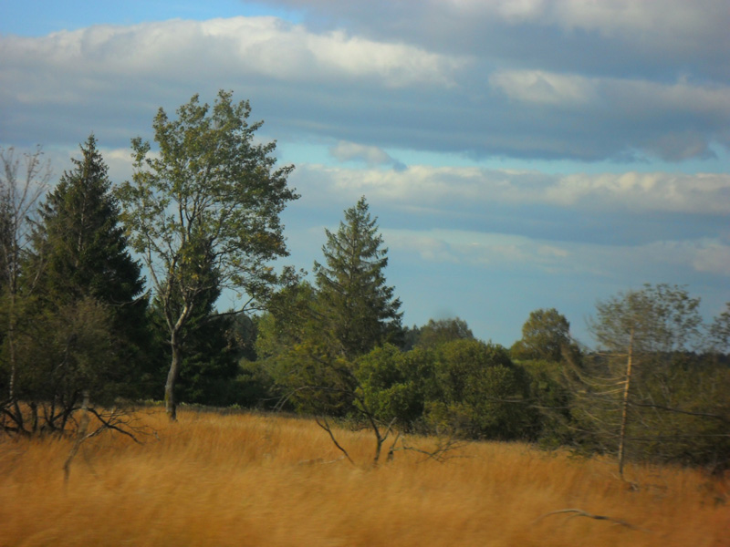 Hohes Venn im Herbst