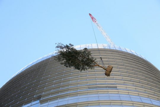 Bild vom Endspurt beim Bau des Bürogebäudes "1 Bligh Street" (Mai 2011)