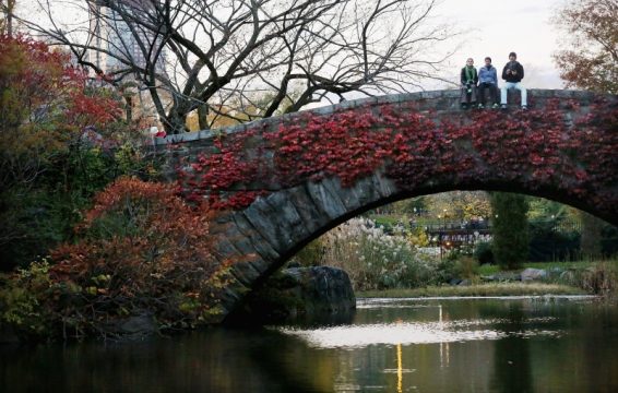 05. November: Der Central Park ist wieder geöffnet