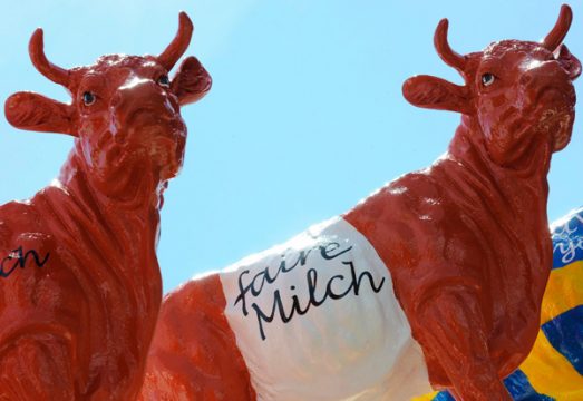 Milchbauerndemo in Brüssel (12. Juli 2010)