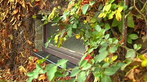 Achten Sie darauf, dass auch Kellerfenster geschlossen sind. Noch besser ist eine zusätzliche Sicherung