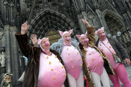 Jecke vor dem Kölner Dom