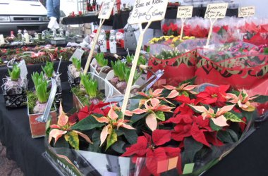 Katharinenmarkt 2012 in St. Vith
