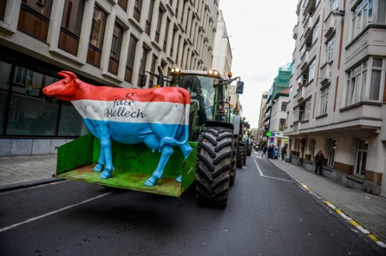 "Fair Mëllech": Europäische Milchbauern protestieren in Brüssel