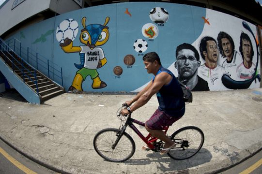 "Fuleco" heißt das Maskottchen für Fußball-WM 2014 in Brasilien