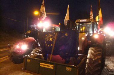 Protest der Milchbauern: Traktoren auf dem Weg nach Brüssel (Autobahn auf Höhe St. Vith)