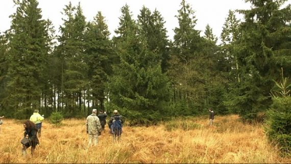 Weihnachtsbaum aus Malmedy für die NATO