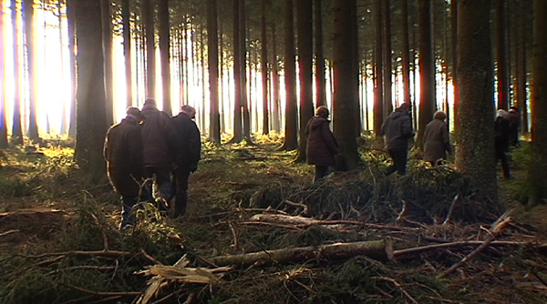 Waldbegehung im Hertogenwald
