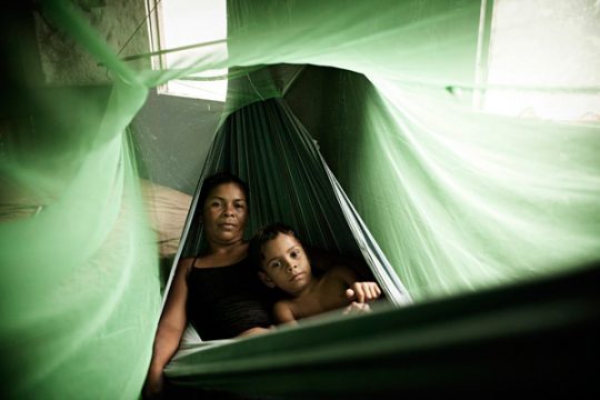 WHO: Zahl der verteilten Moskitonetze stark zurückgegangen