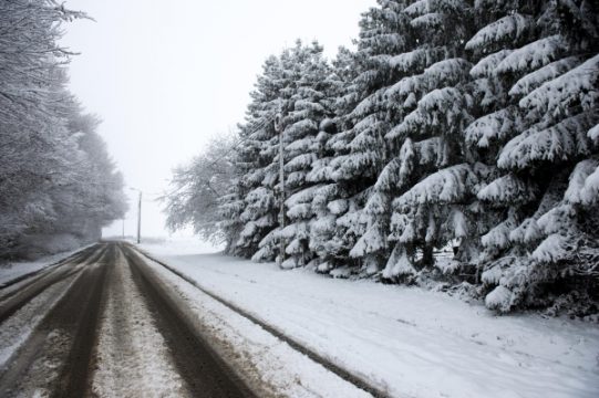 Der erste Schnee ist da (Jalhay, Sonntagmorgen)