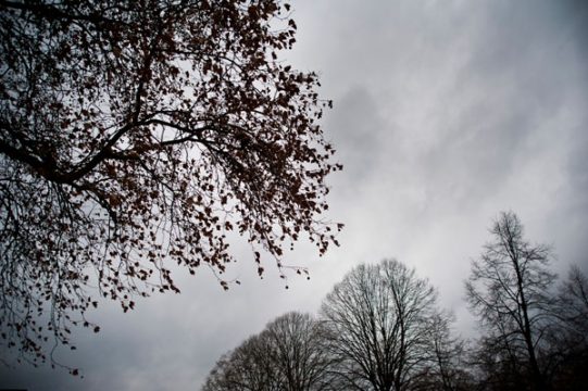 Wetter im Herbst in Brüssel
