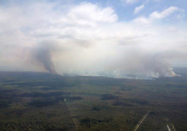 Neue Brandherde in Australien
