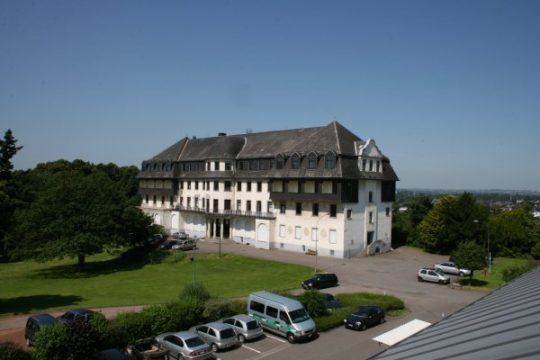 Die Eiche (l.) hat die Bauarbeiten am Parlamentsgebäude nicht überstanden