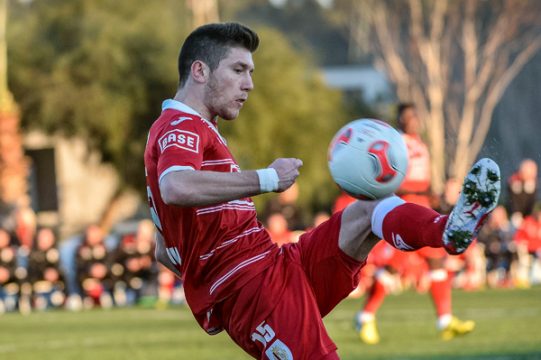 Sébastien Pocognoli wechselt zu Hannover