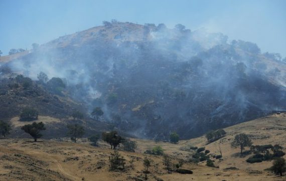 Immer wieder lodern Buschfeuer bei Yass im Bundesstaat South Wales auf