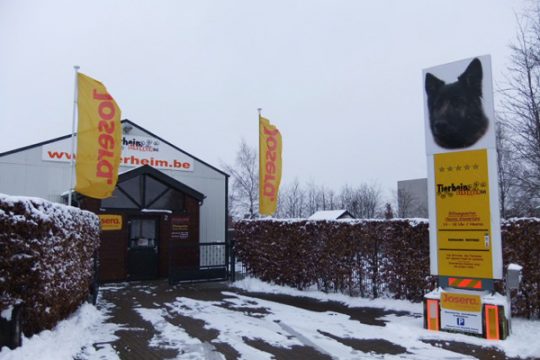 Tierheim Schoppen blickt optimistisch in die Zukunft