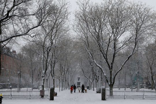 Schnee in Boston (8. Februar)