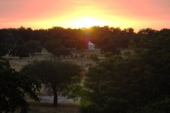 Waza-Nationalpark im Norden Kameruns (Bild von 2008)
