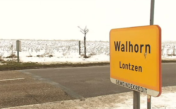 Windpark auf Walhorner Feld: Projekt wird konkret