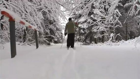 Skilanglauf auf Botrange