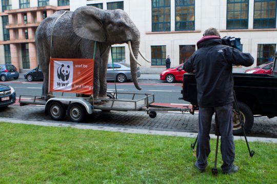 Gegen den Elfenbeinhandel in Thailand: WWF-Aktion in Brüssel