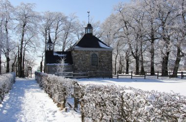 Winter: Hohes Venn im Schnee