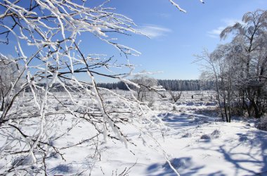 Winter: Hohes Venn im Schnee