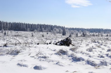 Winter: Hohes Venn im Schnee