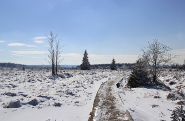 Winter: Hohes Venn im Schnee